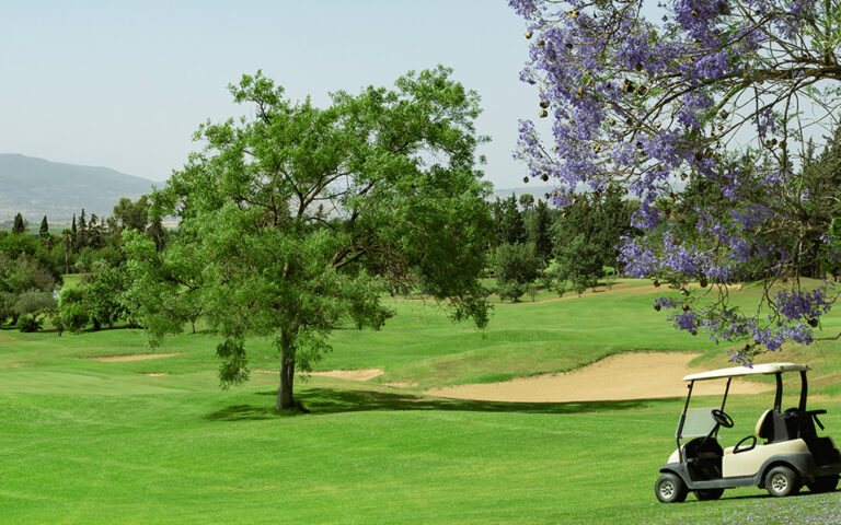 Jacaranda en fleurs mauves au bord d'un fairway de Palm Casablanca, une voiturette à l'arrêt et un bunker de sable clair.